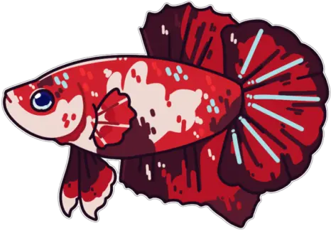 Siamese Fighting Fish Logo Ikan Cupang 3d Png Betta Fish Png