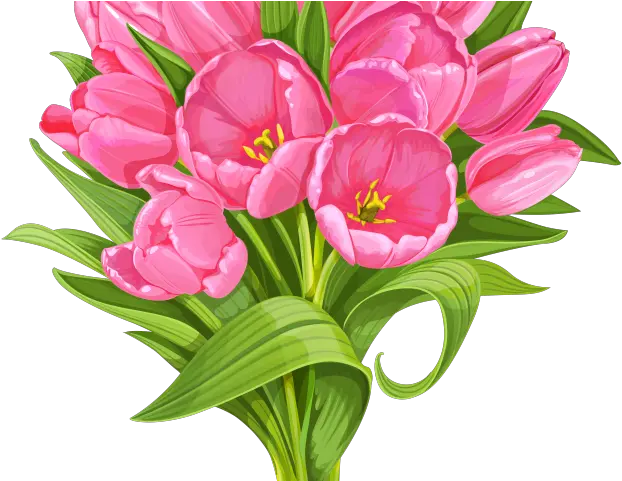 Download Tulip Clipart Flower Bokeh Transparent Background Flower Bouquet Clipart Png Flower Clipart Transparent Background
