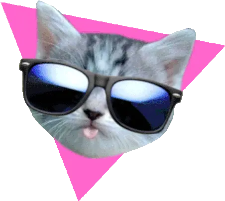 Cat Cute Gif Cat Cute Sideeye Discover U0026 Share Gifs Cat Face Transparent Gif Png Cat Face Transparent png