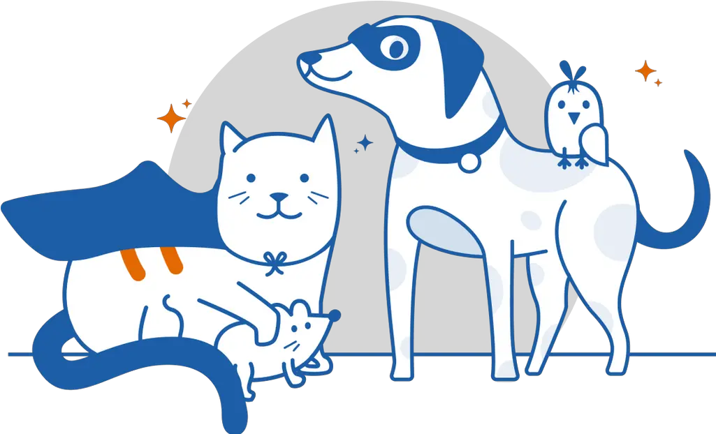 Super Pets Pet Supplies Accessories U0026 More Australiau0027s Animal Figure Png Dog And Cat Icon