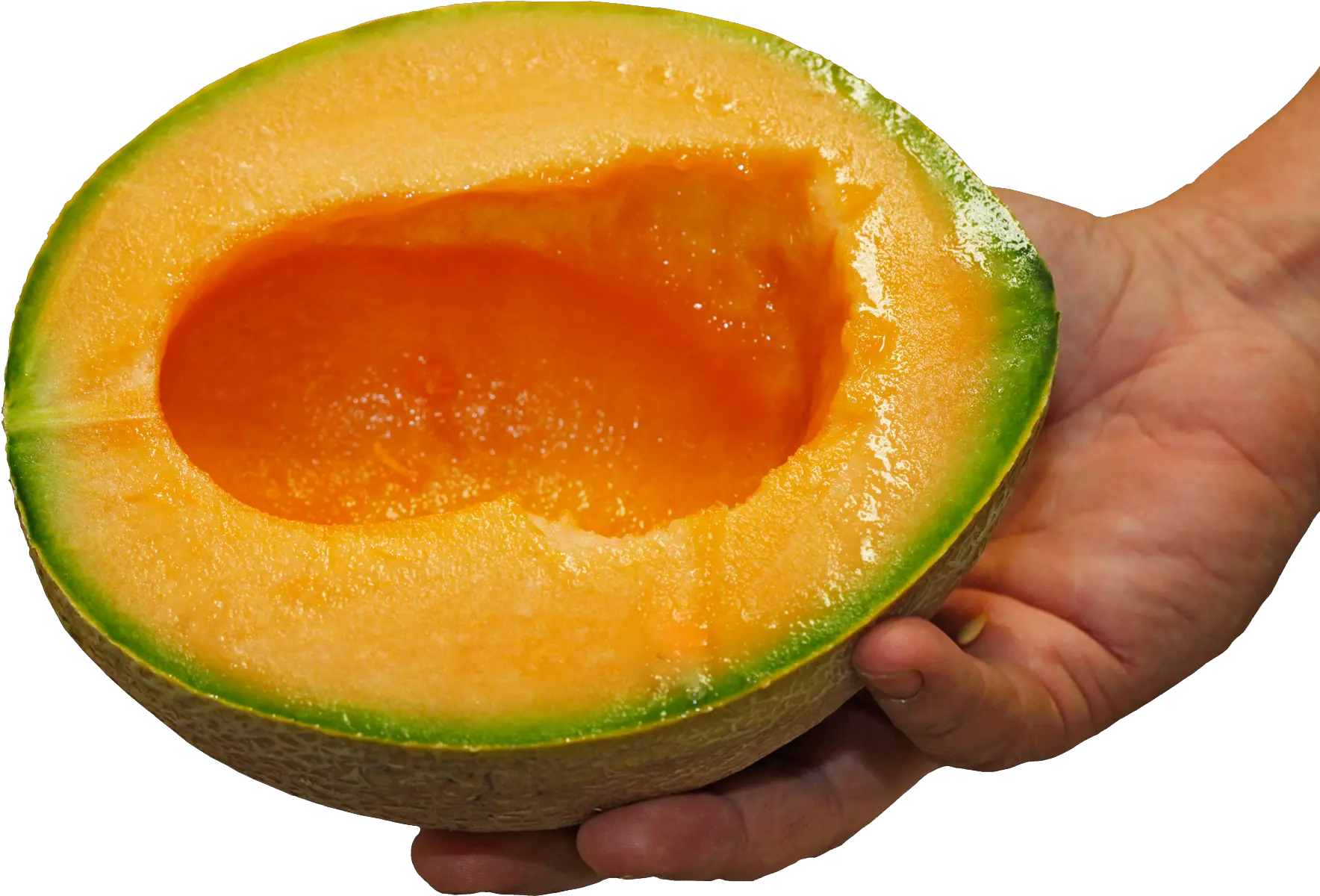 Fda Expands Salmonella Melon Warning To More Than 20 States Avocado Png Cantaloupe Png