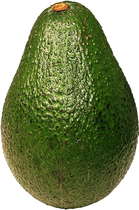 Avocado Png Avocado Png Avocado Transparent Background