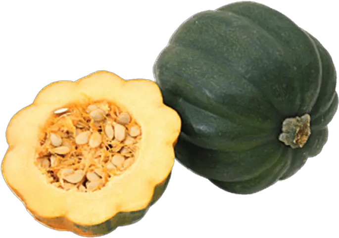 Zucchini Clipart Acorn Squash Squash Png Zucchini Png