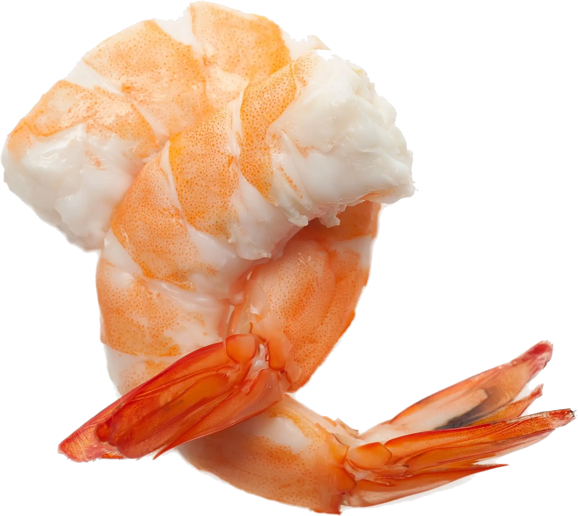Shrimp No Background Png Play Cocktail Shrimp Png Crab Transparent Background