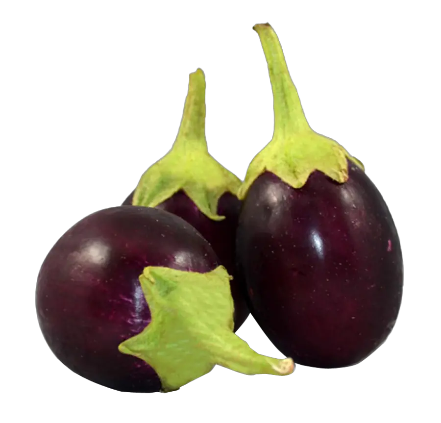 Eggplant Clipart Bringal Transparent Free Brinjal Png Eggplant Png