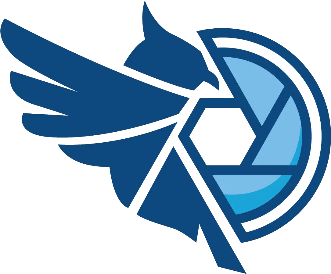 Work Examples U2013 Featherston Drone Services Language Png Team Valor Icon