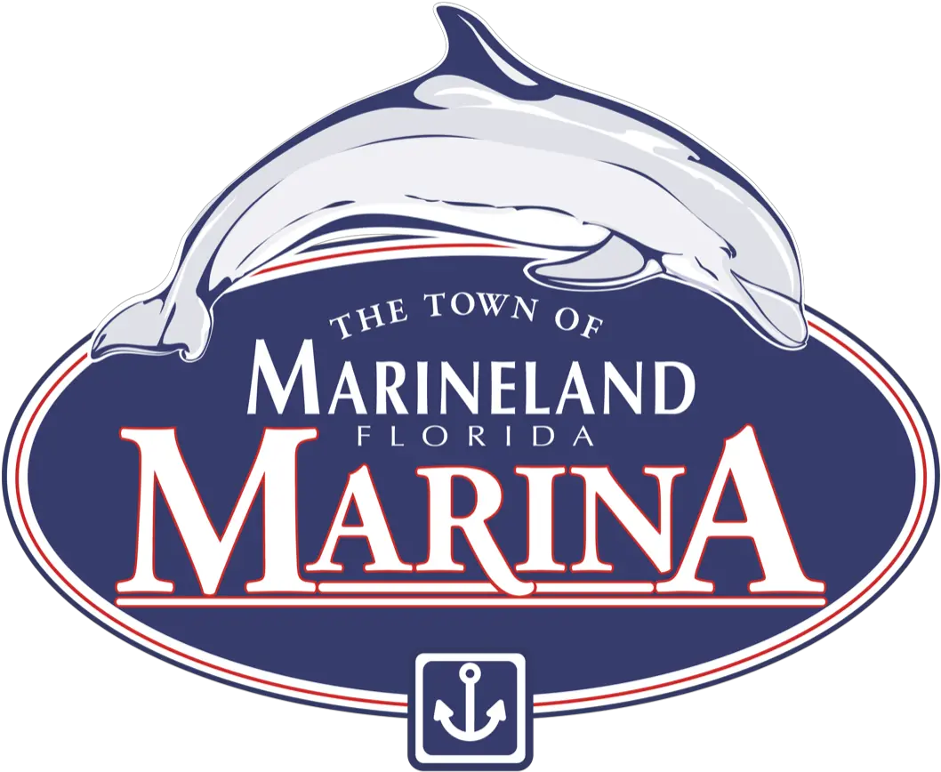 Marineland Marina Common Bottlenose Dolphin Png St Marina Icon