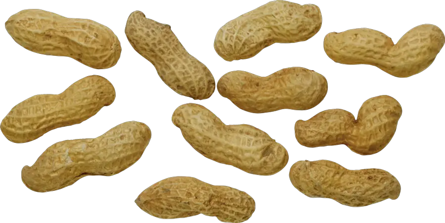 Png Portable Network Graphics Peanut Png