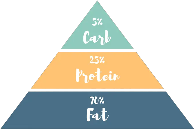 Ketogenic Diet 101 Definition Types U0026 Basics Trias Energetica Png Food Pyramid Png