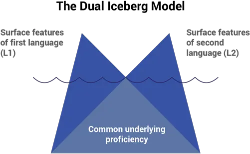 Download Useful Articles About Bics And Cummins Dual Iceberg Model Png Cummins Logo Png