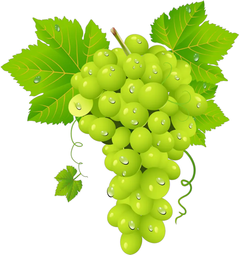 Grapes Grappe De Raisin Blanc Png Fruits Png