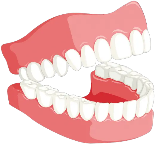 Download Hd Teeth Teeth Png Transparent Png Dental Png Teeth Png