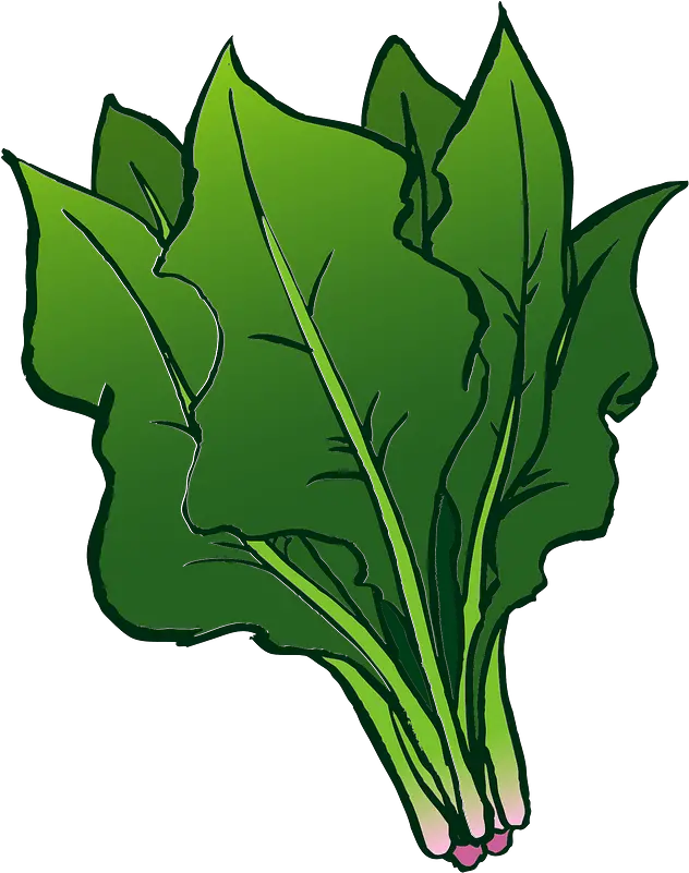 Spinach Vegetable Clipart Free Download Transparent Png Spinach Clipart Spinach Png