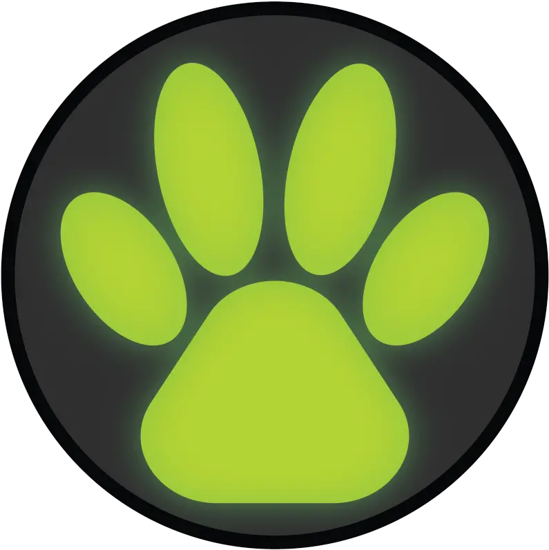 Miraculous Ladybug Party Simbolo De Chat Noir Png Miraculous Logo