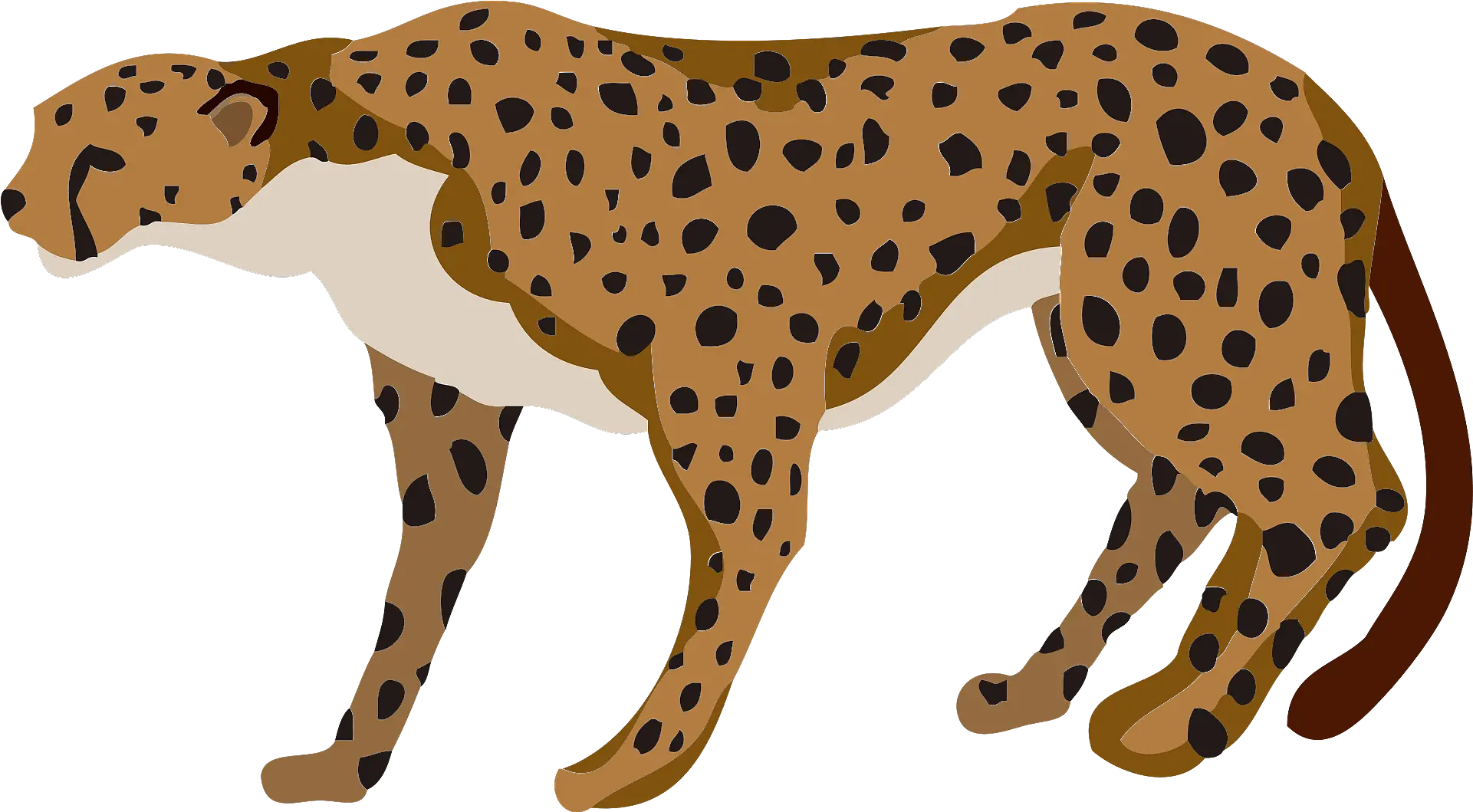 Cheetah Animal Clipart Free Download Transparent Png