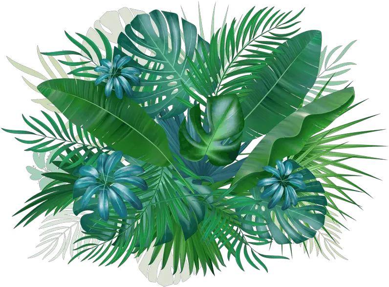 Blueberry Sig Background 2018 No Bkg Events Sabal Minor Png Blueberry Transparent Background