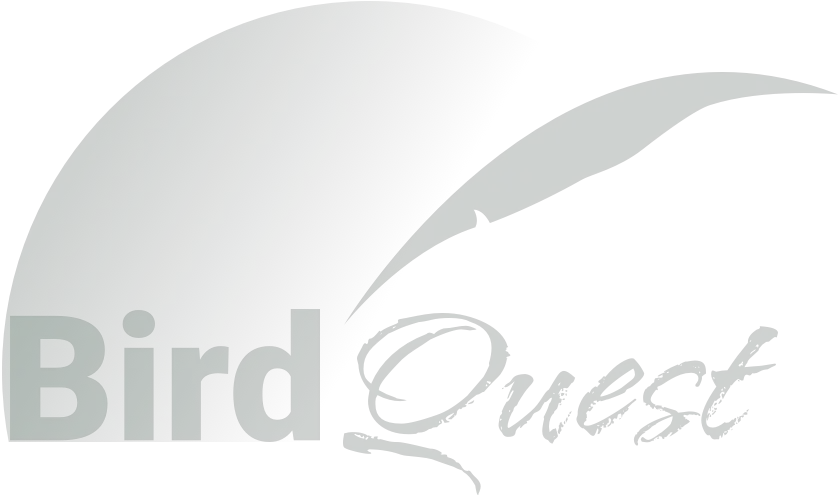 Uncharted Papua New Guinea Expedition Birdquest Birding Tours Wasatch Academy Png Uncharted Png