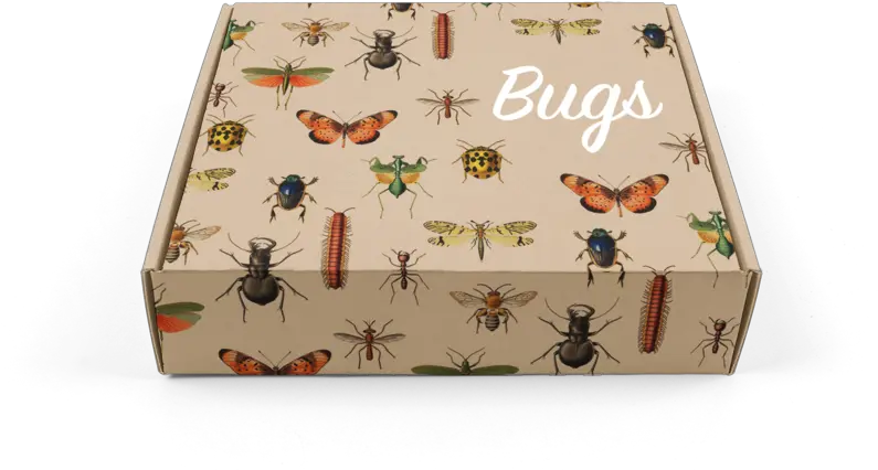 Arboretum 2019 Png Bugs