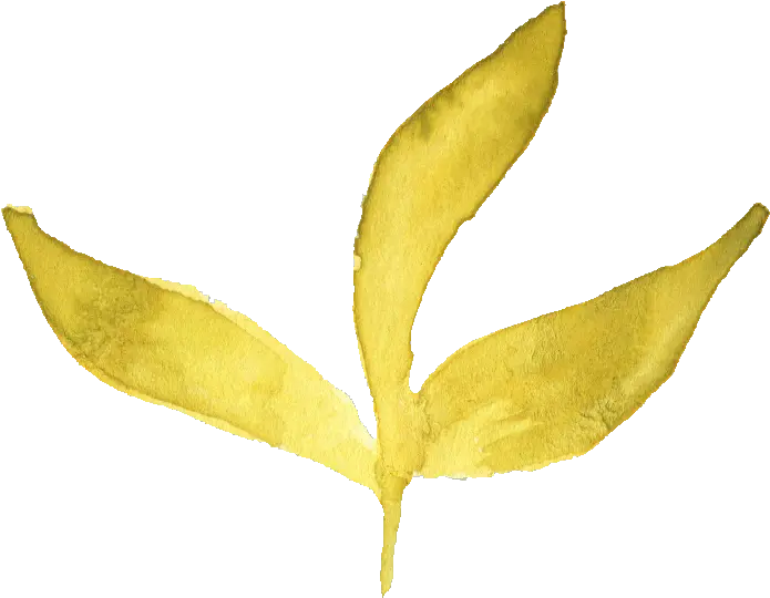 Watercolor Yellow Leaf Transparent Watercolor Yellow Leaf Png Leaf Png png