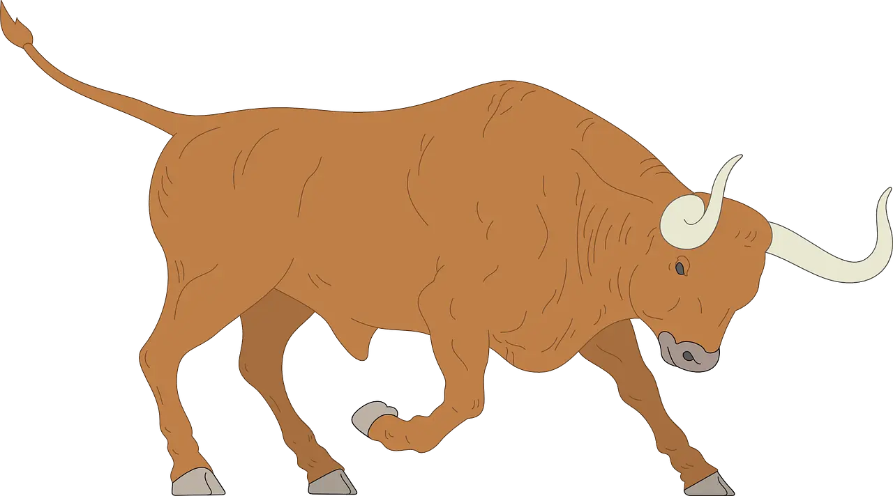 Angry Charge Bull Oxen Clipart Png Bull Png