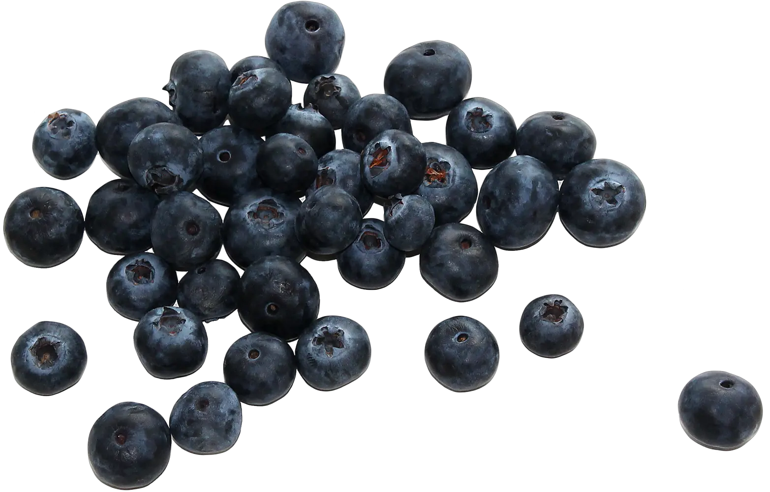 Snowy Mountains Blueberry Png Berries Png