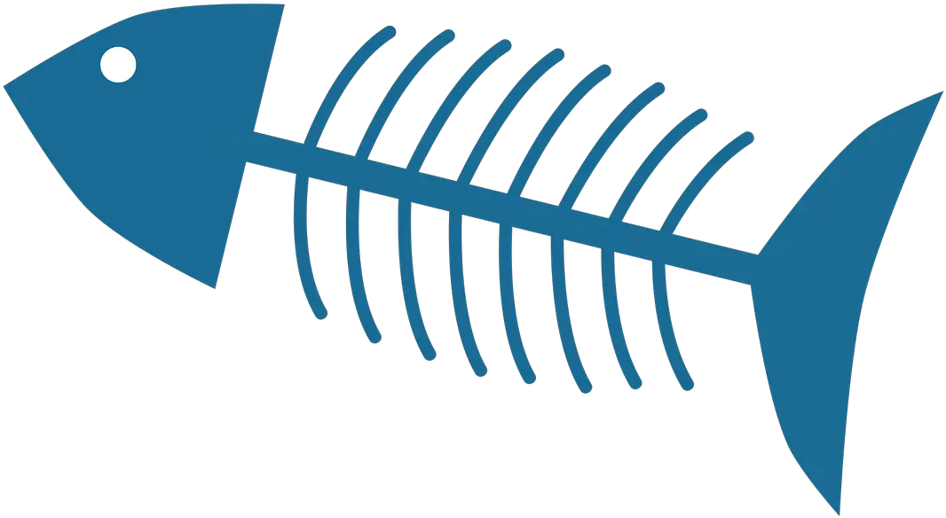 Download Fish Feathered Bone Skeleton Png Image Bone Png Eat The Fish And Spit Out The Bones Fish Skeleton Png