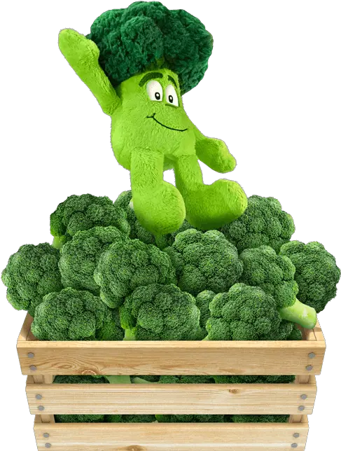 Barbara Broccoli Barbara Broccoli Goodness Gang Png Broccoli Png