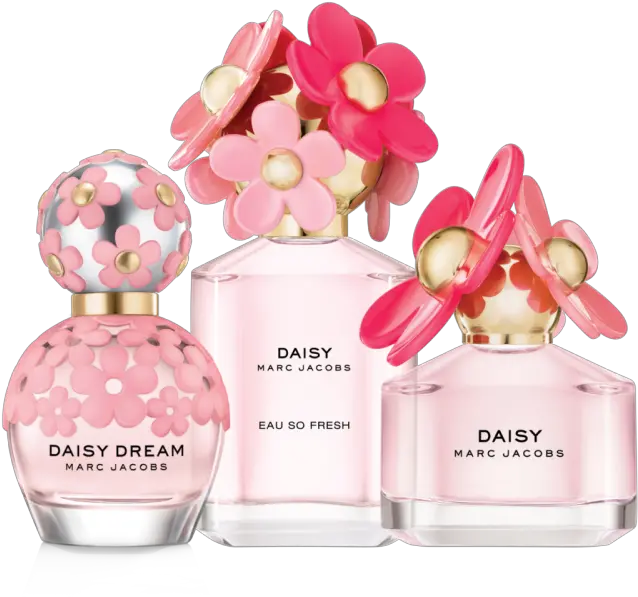 Download Free Body Cologne De Toilette Perfume Note Marc Jacobs Daisy Blush Perfume Png Icon Cologne