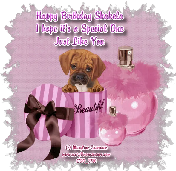 Download Hd Free Puppy Clipart Puggle Dog Puppy Png Puppy Clipart Png