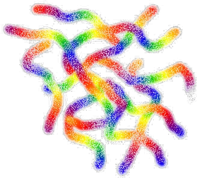 Worms Png Hd Portable Network Graphics Worms Png