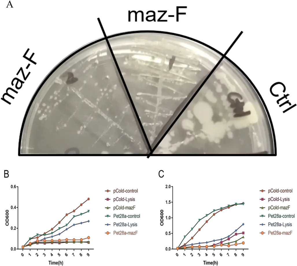 Teamneu China Apages 2018igemorg Diagram Png Protractor Png
