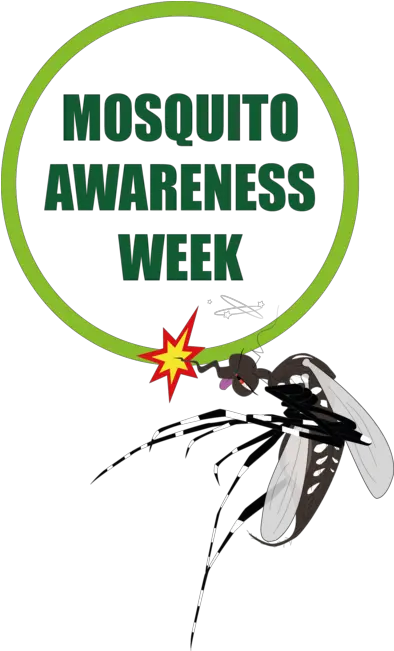 Mosquito Awareness Week 2018 Slogan On Vector Borne Disease Png Mosquito Png