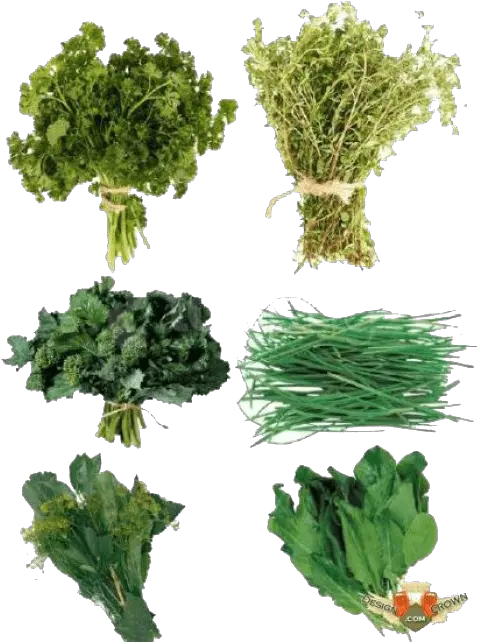 Herbs Png Transparent Image Arts Herbs Photoshop Broccoli Transparent Background