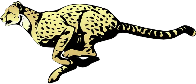 Cheetah Transparent Png Cheetah Png Clipart Cheetah Png
