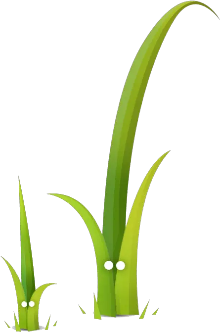 Svg Logo Issue Php Twig Icon Svg Png Twig Png