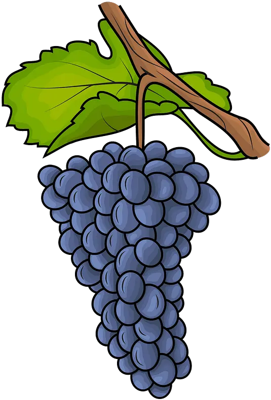 Grapes Clipart Free Download Transparent Png Creazilla Clip Art Grapes Transparent