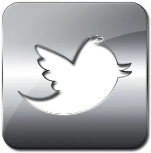 Project Punchline Transparent Silver Twitter Logo Png Coke Icon Tumbler