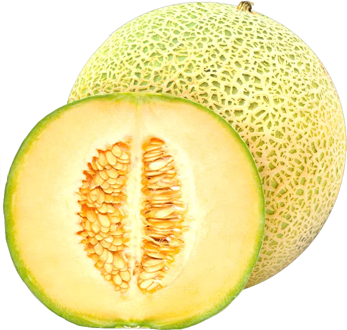 Download Cantaloupe Melon Fruit Australia Rock Melon Png Cantaloupe Png