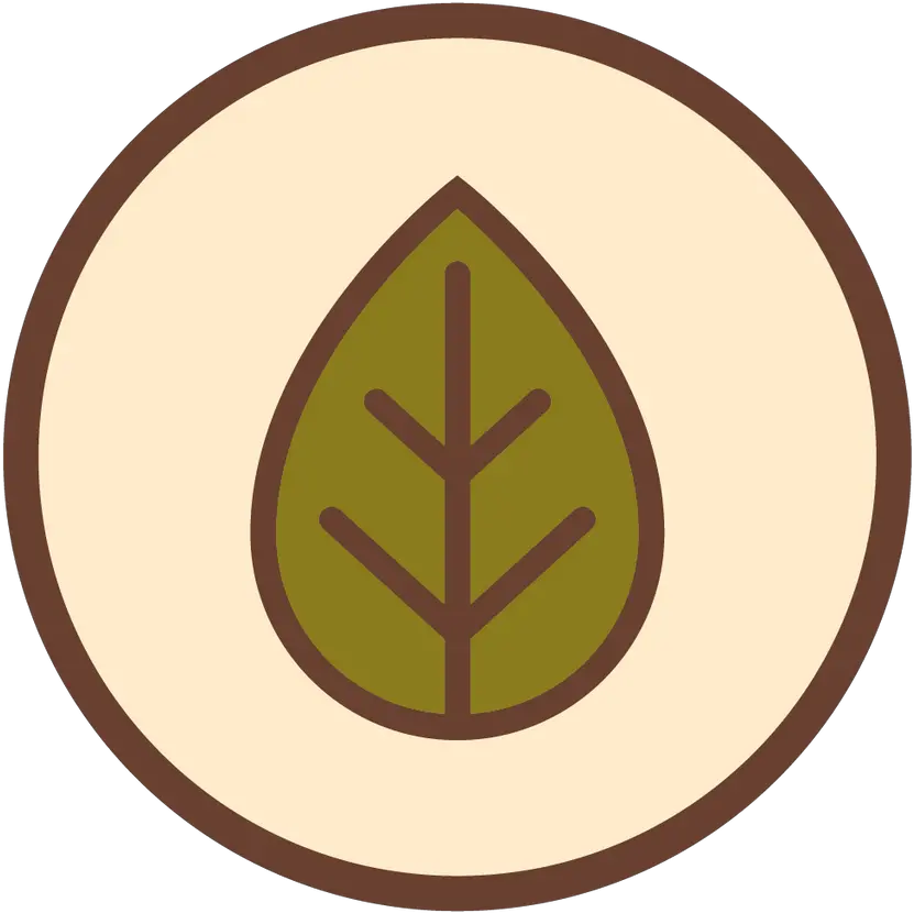 Mercado Avocado Language Png St Bernadette Icon