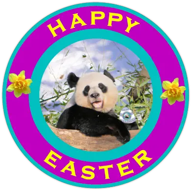 The Year Of Panda Happyeaster My Pandas Youth Parliament Png Happy Easter Png
