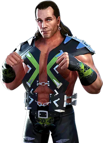 Leveling Calculator For Shawn Michaels U201cd Generation X Shawn Michaels Degeneration X Png Shawn Michaels Png