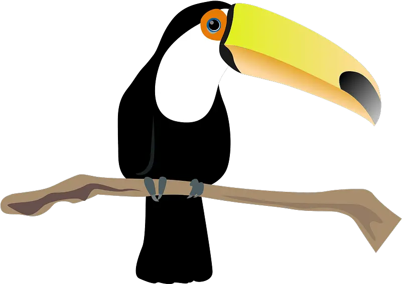 Toco Toucan Bird Clipart Free Download Transparent Png