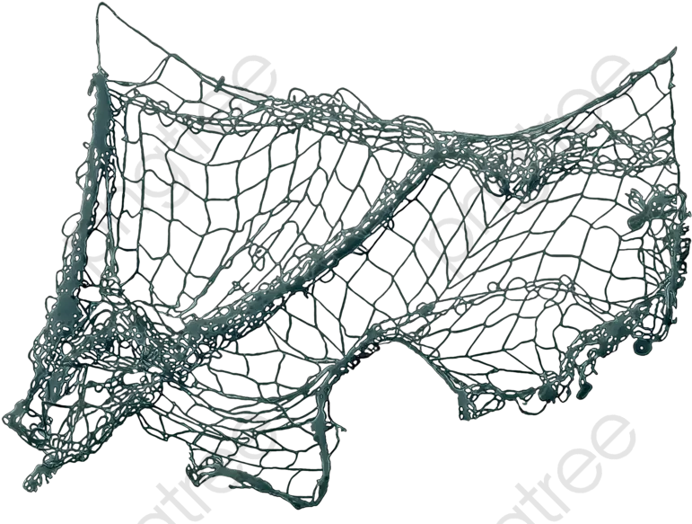 A Picture Of Fishing Net Fishing Net Png Transparent Background Fishing Net Png
