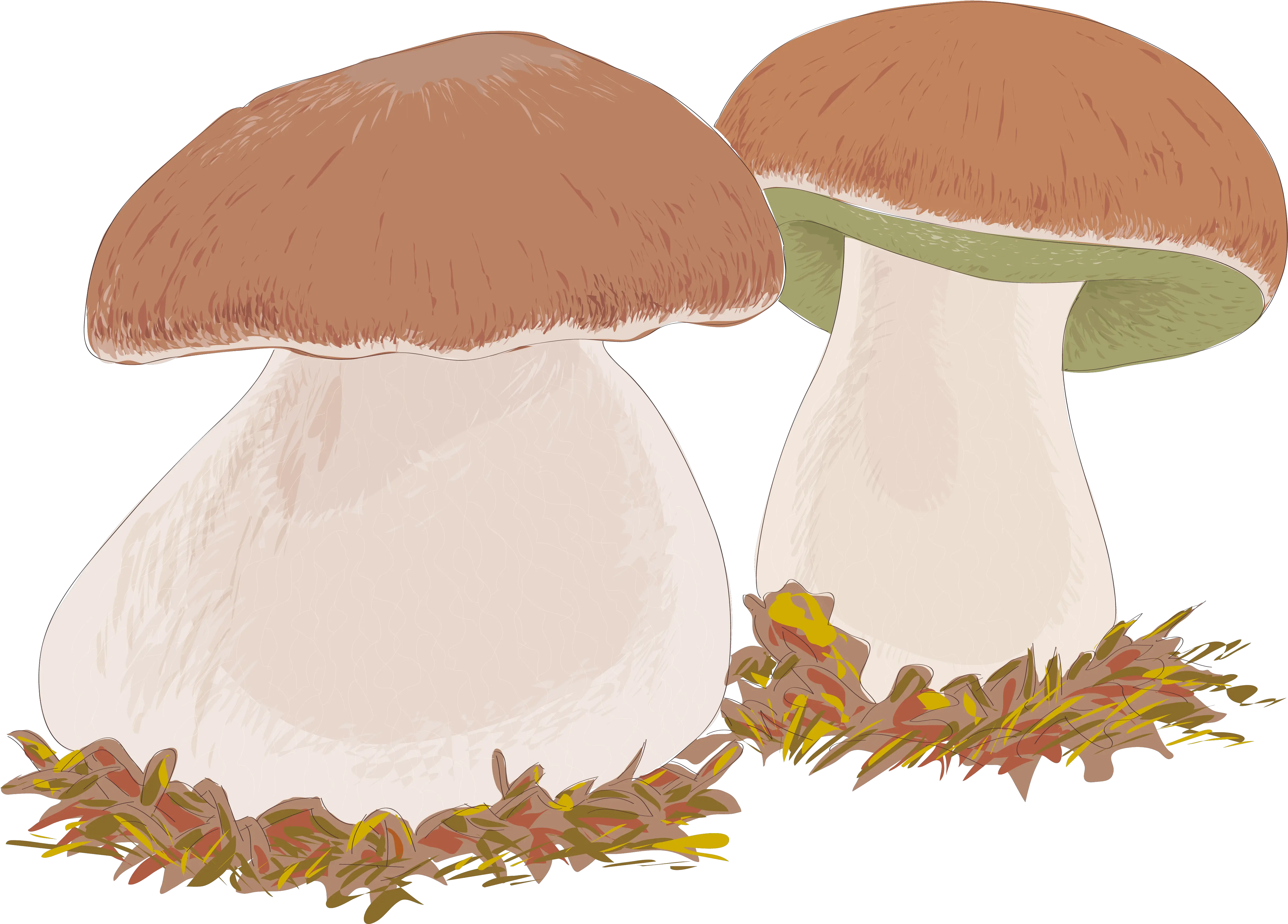 Download Hd Banner Black And White Cavern Drawing Champiñones Dibujo Png Mushroom Transparent