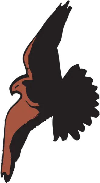 Hawk Flying With Shadow Png Svg Clip Art For Web Download Transparent Hawk Shadow Hawk Png
