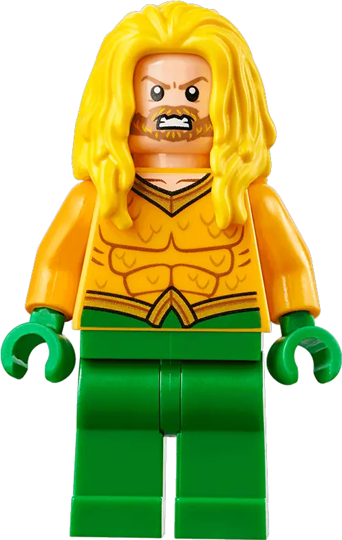Lego Dc Comics Super Heroes Lego Catwoman Png Aquaman Transparent
