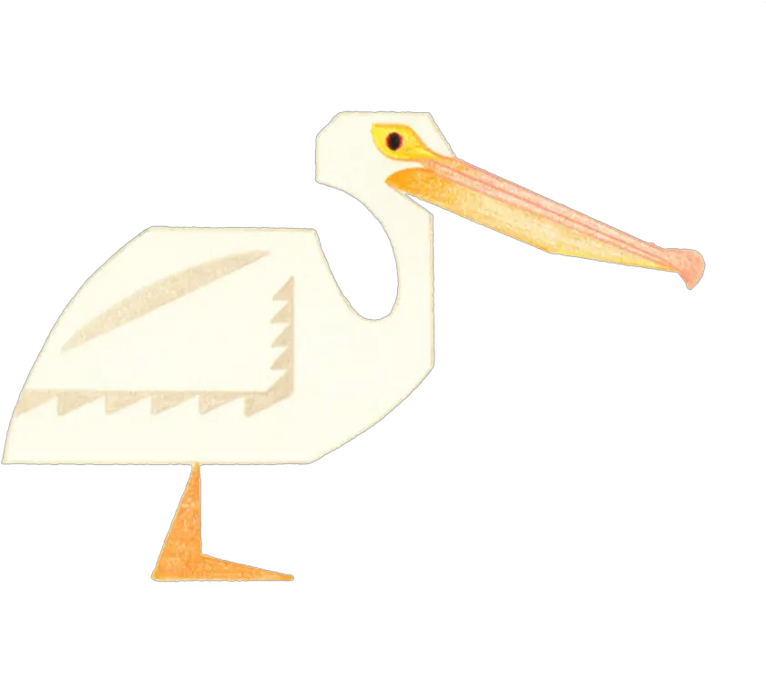 Pelican American Cyborg Png