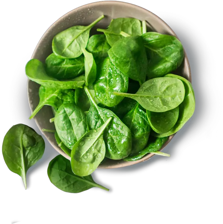 Download Spinach Png Image With No Spinach Spinach Png
