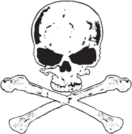 Skull Bones Transparent Png Arts Skull Skull And Bones Png