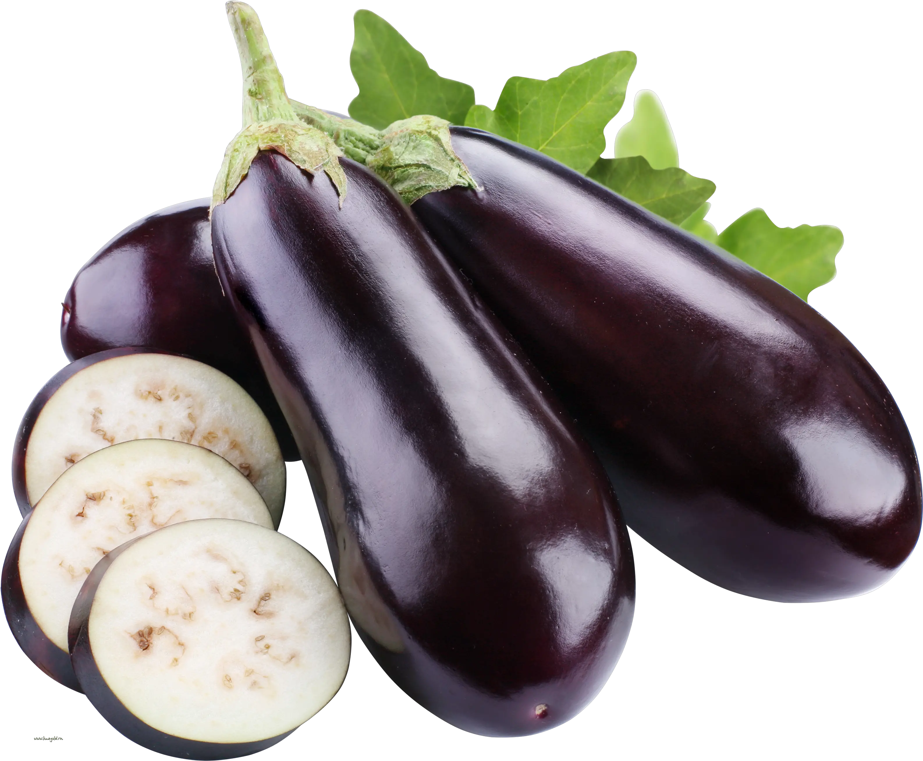 16 Eggplant Png Image Collection Free Eggplant Png Eggplant Png